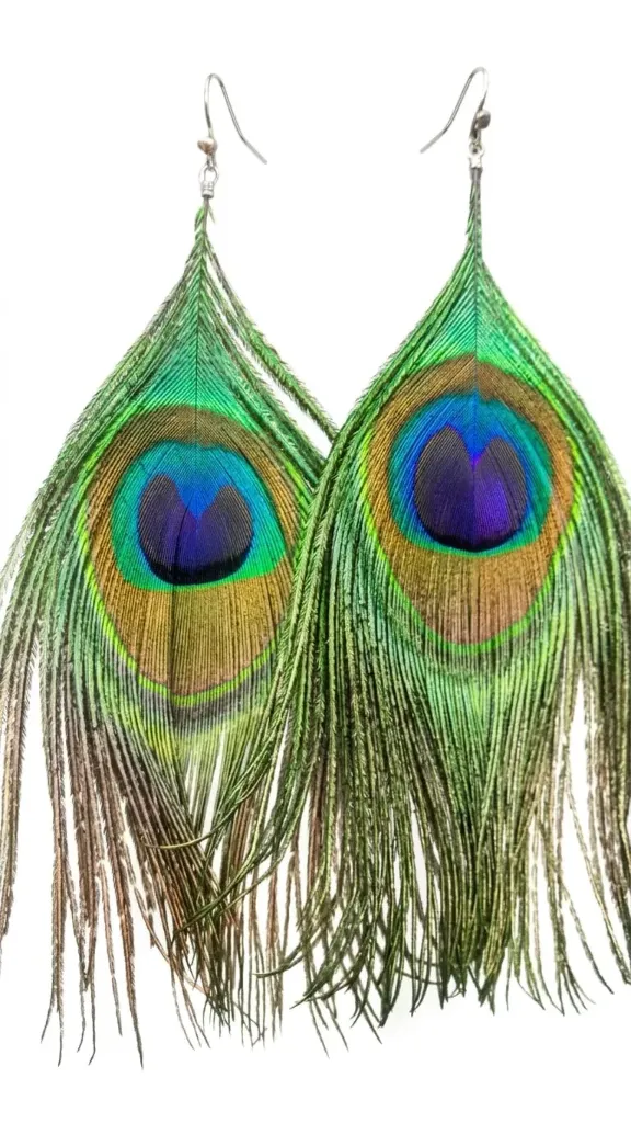 Aretes de pluma Pavo real con arcillos de plata
